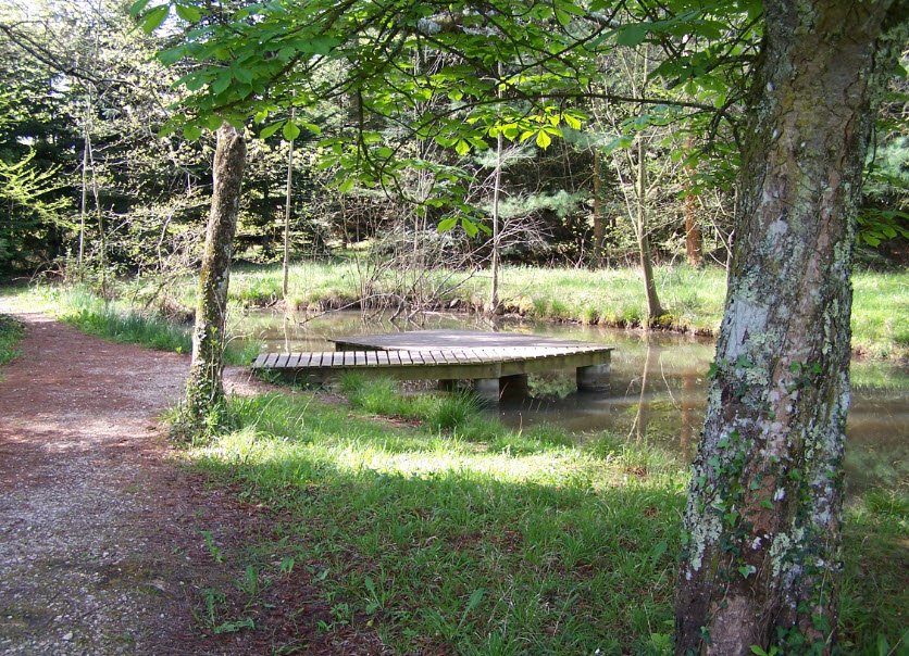 Arboretum de Cardeilhac, Cardeilhac, France, France